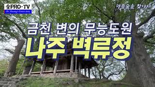 금천변의 무능도원 "나주 벽류정", 숲프로 TV