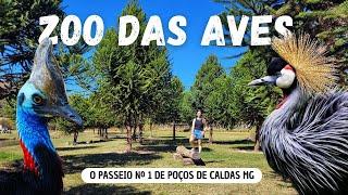 BIRD ZOO: One of the best tours in POÇOS DE CALDAS MG. More than 2 thousand birds of 200 species