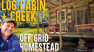 Their Debt-Free, Off-Grid Log Cabin Tour: Preparing for the Future of Self Reliance!