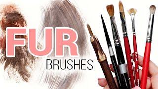 6 of the Best Watercolor Brushes for Painting FUR