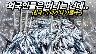 TOP 5 Seafood That Is Not Eaten Abroad But Is Very Popular in Korea