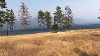 255 McLean Drive Sagle Idaho Waterfront Real Estate on Acreage  Video Walkthrough 12