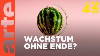 Brauchen wir Wirtschaftswachstum? | 42 - Die Antwort auf fast alles | ARTE