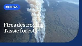 The fight to save Tasmania's wilderness from bushfires | ABC News