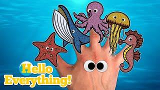 Sea Animals Finger Family | Kids Songs and Nursery Rhymes