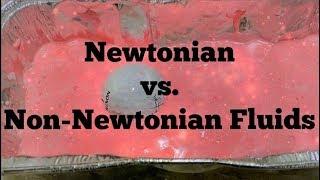 Newtonian vs. Non-Newtonian Fluids