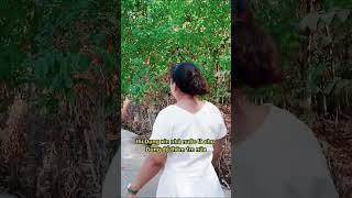 Hành Trình Khởi Nghiệp Và Xây Căn Nhà Đầu Tiên Cho Ba Mẹ Khi Làm Bất Động Sản Của Dung