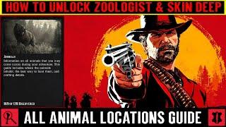 Red Dead Redemption 2 Zoologist & Skin Deep - All Animal Locations Guide