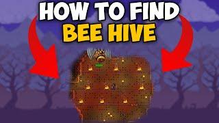 Terraria How To Find Bee Hive | Terraria Bee Hive seed 1.4.4.9