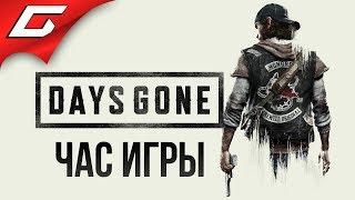 DAYS GONE (Жизнь После)  ЧАС ГЕЙМПЛЕЯ \ ПРЕВЬЮ