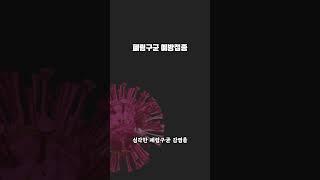 60대 이상, 반드시 맞아야 하는 예방접종 3가지 #2 폐렴구균