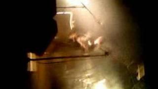 Dirty Pretty Things Live - Opening song Wondering