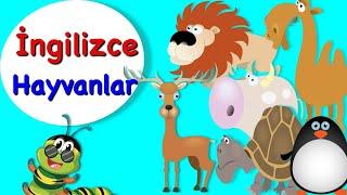 Çocuklar İçin İngilizce I Hayvanlar I Animal