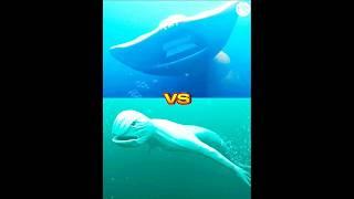 el gran maja vs ningen,worm, blue whale,hippocampus #shorts #viral #monster #music #the