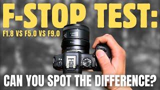 Canon R8 Video Test: How Depth of Field Affects Your Footage