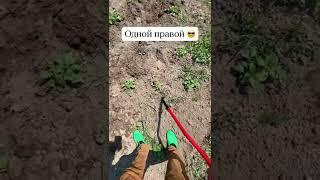 Сорнякам не спастись от Торнадо мини #дача #садиогород #торнадо