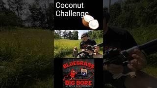 Coconut challenge #airgun #pellets #plinking