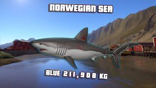 Russian Fishing 4 RF4 - Norwegian Sea - Porbeagle blue trophy fight with 113 kg leader almost breaks