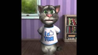 Talking Tom I'm in love with the coco vine