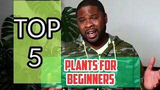 Top 5 Plants for Beginners