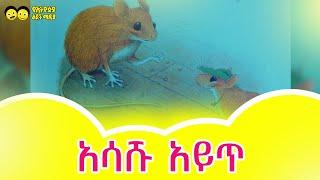 ጣፋጭ ታሪኮች Unu Asashu Ayet /Tafach Tarik/Ye ethiopia lijoch tv