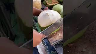 Big Fresh coconut water #viral #experiment