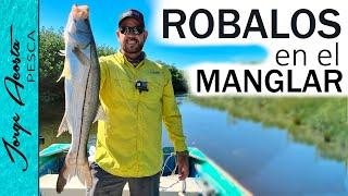 Pesca de ROBALO en el MANGLAR - Además... SORTEO!!!!