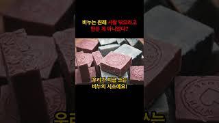 비누는 원래 사람이 닦으라고 만든게 아니었다? #비누의역사 #생활속지식 #짧은지식 #비누 #로마이야기 #유튜브쇼츠 #일상지식 #고대로마 #비누기원 #짧고굵게