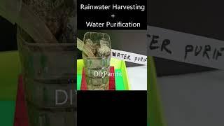 rain harvesting and water purification working model - science project - diy  diypandit | DIY pandit