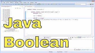 21 - The Boolean Data Type in Java