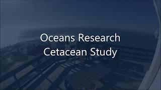 Oceans Research: Cetacean Study