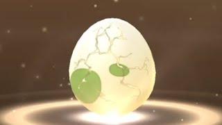 Part 2, Sustainability Week - 2km Egg Hatch (23 April 2024) #pokémongo #egghatching