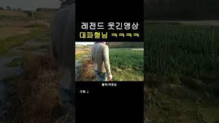 대파형님 #레전드 #웃긴영상 #전설