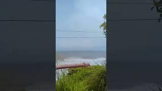 Varkala beach | Kerala beaches #india #trending #travel #kerala #india #shortsvideo #shortsviral