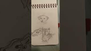 How I draw Dogs as a beginner artist #beginnerartist #art #beginnerart #learnart #learntodraw #cute