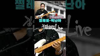 찔레꽃(백난아) 추억의 옛노래, 김인효기타연주 // Kiminhyo Guitar_#shorts