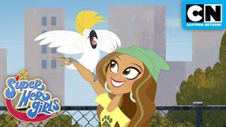 Dexter the Cat | DC Super Hero Girls | Cartoon Network