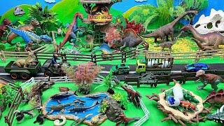 Dinosaur Mega Jungle Zoo - Jurassic Park Dinos Fun Video