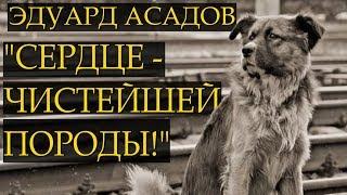 "Стихи о рыжей дворняге" - Эдуард Асадов Читает Леонид Юдин