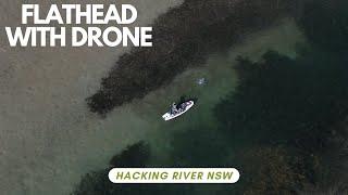 Flathead and Drone - Hacking River