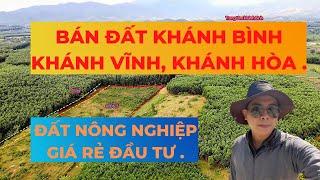 BÁN ĐẤT KHÁNH BÌNH KHÁNH VĨNH. ĐẤT NÔNG NGHIỆP GIÁ ĐẦU TƯ | TRẦN ANH THI BĐS.