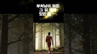 부처님이 걸은 그 길 끝에 있던 것I 불교경전 I 법구경 I 부처님말씀 I 석가모니 가르침 I 마음공부 I 행복 I 불교 I 명언