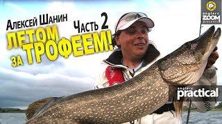 Летом за трофеем! Часть 2. Ловля щуки на Волге. Алексей Шанин. Anglers Practical