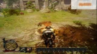 Risen 3 Осмотр храма 03 02 2017