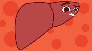 Liver advert animated | NSW Hepatitis Awareness Week 2021 | 5 seconds