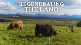 Inspirational 150 Acre Regenerative Farm in the Scottish Highlands