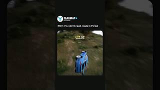 POV: You don't need roads in Forza!