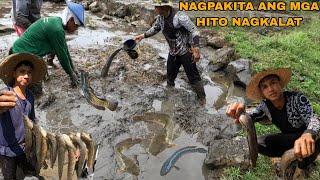 NAGKALAT ANG MGA ISDA SA PALAYAN NI TATAY PANGAGAMA