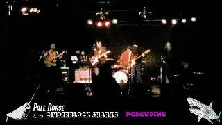 PORCUPINE - LIVE AT BIGS 3-3-2024