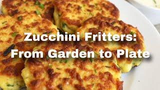 Zucchini Fritters: From Garden to Plate